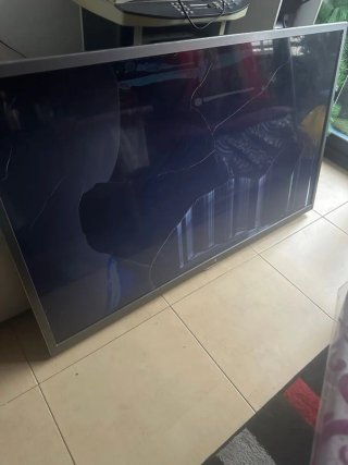 Televisor LG 1PTV Plata