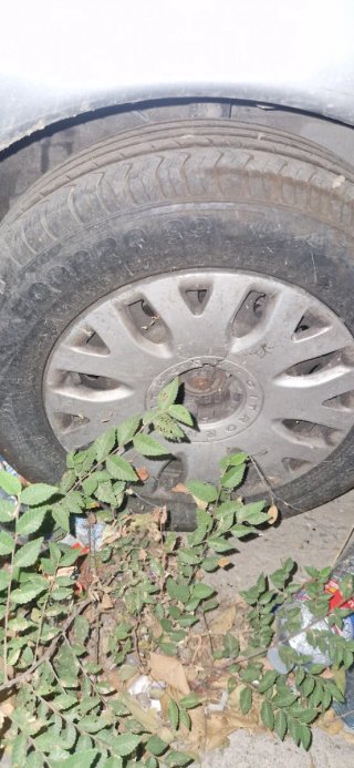 Citroen citroen xsara picasso 2001