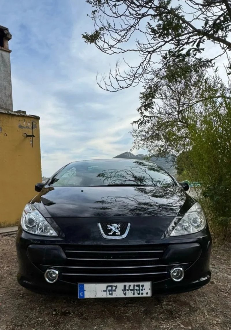 Peugeot 307 2007 - foto 1