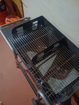 Barbacoa de carbón