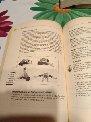 Yoga para Dummies