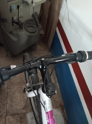 Bicicleta de mujer blanca