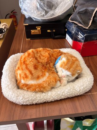 Gato peluche que respira