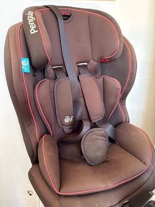 Sillita coche Penguin