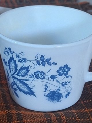 5 Tazas Arcopal France