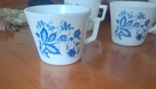 5 Tazas Arcopal France