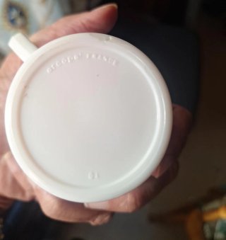 5 Tazas Arcopal France