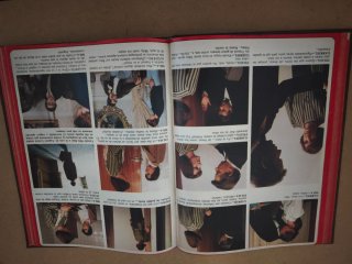 Fotonovela ...Y creó la familia - Guillermo Sautie