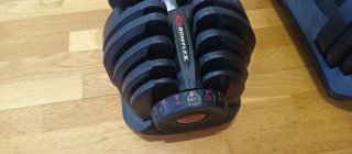 Mancuernas Ajustables Bowflex