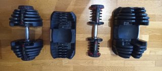 Mancuernas Ajustables Bowflex