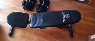 Mancuernas Ajustables Bowflex