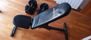 Mancuernas Ajustables Bowflex