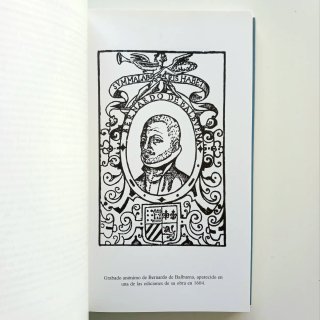 POESIA LIRICA. BERNARDO DE BALBUENA, 2000