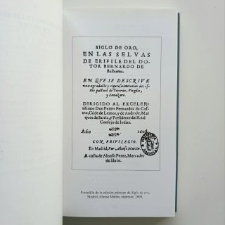 POESIA LIRICA. BERNARDO DE BALBUENA, 2000