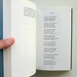 POESIA LIRICA. BERNARDO DE BALBUENA, 2000