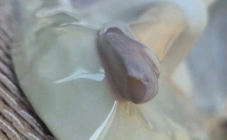 Figura Lladro Nao porcelana mujer cesta