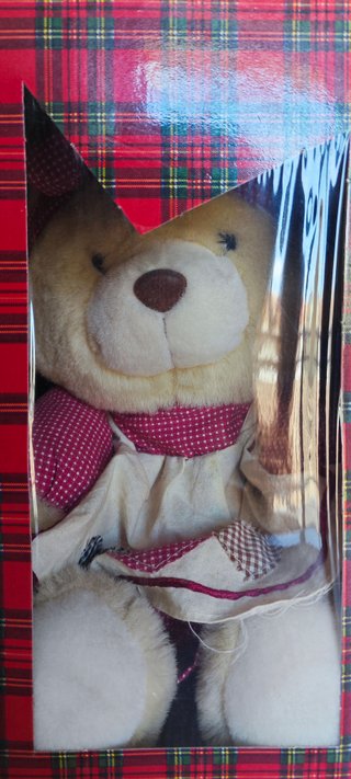 Orsetto Peluche Vintage con Vestito e Scatola