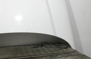 Capot land rover 134778 range rover evoque (l538)