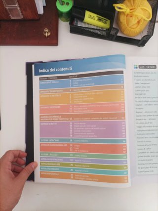 Anatomia umana