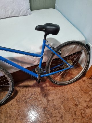 Bicicleta azul
