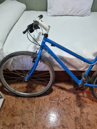 Bicicleta azul