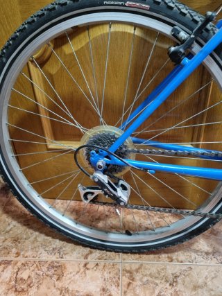 Bicicleta azul