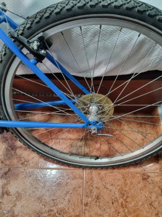 Bicicleta azul