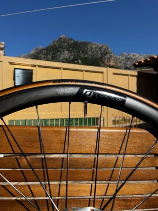 Ruedas Syncross Capital 1.0 Carbono