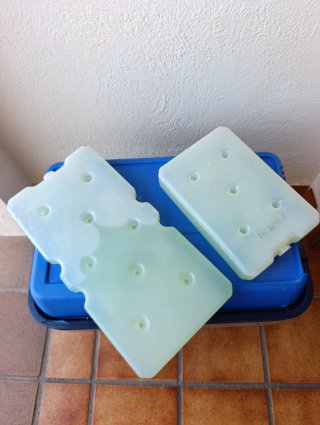 Nevera Portátil 12V GioStyle