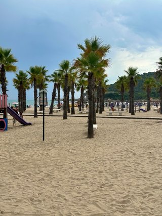 Alquilo por cancelacion  ultima hora apart oropesa
