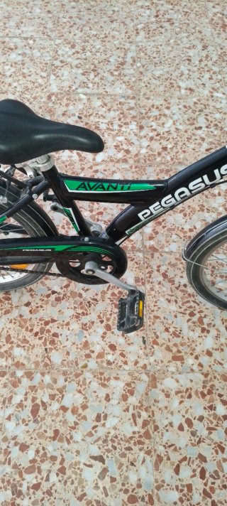 Bicicleta infantil 20 pulgadas