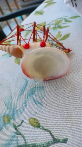 Souvenir Nave Conchiglie Capri