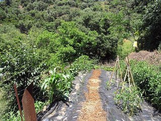 Casa rural en alquiler en Genalguacil