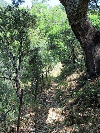 Casa rural en alquiler en Genalguacil