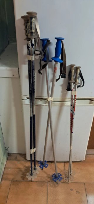 Bastoncini da trekking/sci