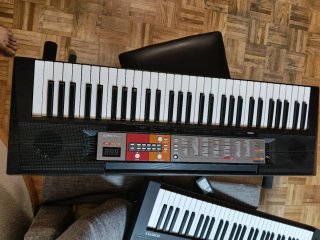Teclado Yamaha PSR-F50