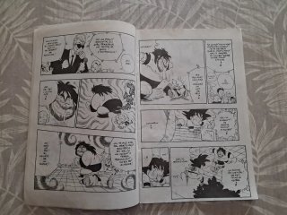 Manga bola de drac n18