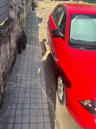 SEAT Ibiza 2005