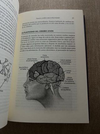 El cerebro digital Cómo las nuevas tecnologías ...