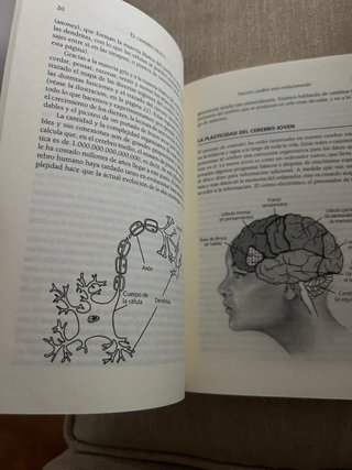 El cerebro digital Cómo las nuevas tecnologías ...