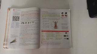 Tecnología y digitalización A, ESO