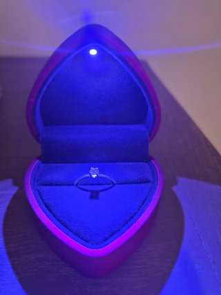 Anillo Oro Blanco y Diamante