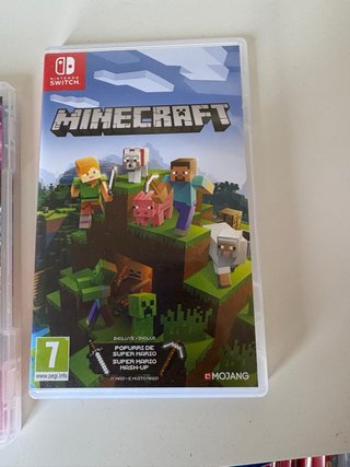 Minecraft Nintendo Switch