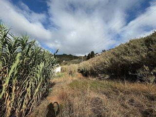 Terreno en venta en Teror en Teror