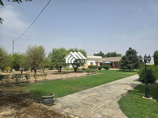 Chalet en venta en Pedro Lamata - San Pedro Mortero en Albacete