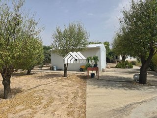 Chalet en venta en Pedro Lamata - San Pedro Mortero en Albacete