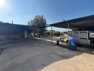 Casa rural en venta en Centro en Alcanar