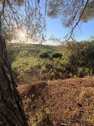 Solar en venta en El Juncal - Vallealto en Puerto de Santa María (El)