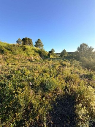 Solar en venta en El Juncal - Vallealto en Puerto de Santa María (El)
