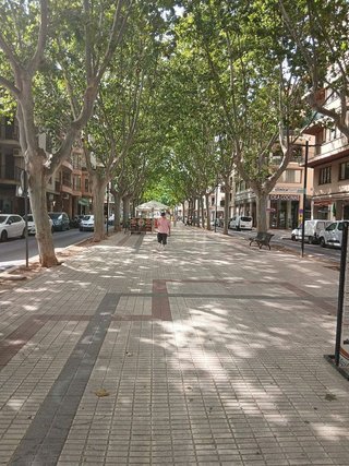 Terreno en venta en Gran Via de Colom en Inca